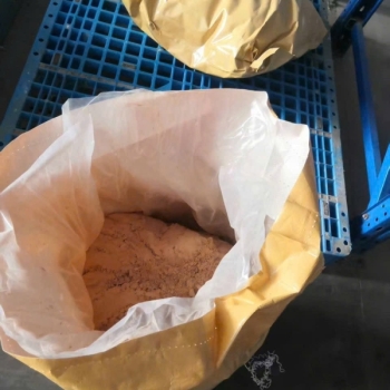 BACILLUS LICHENIFORMIS